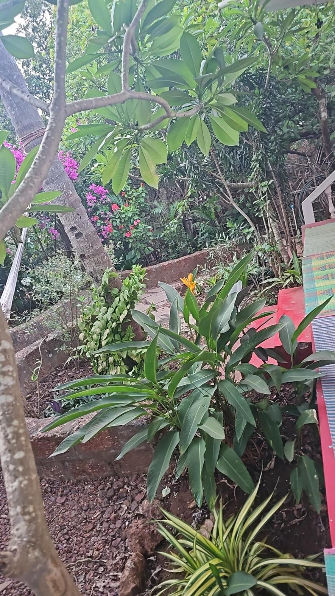 Laxmi Happy Home In Querim Goa ภายนอก รูปภาพ